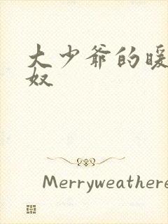 大少爷的暖床小奴