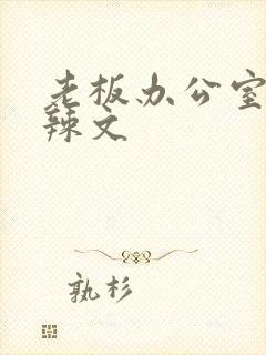 老板办公室系列辣文