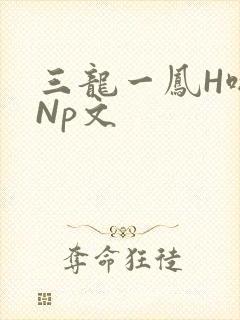 三龙一凤H啪肉Np文