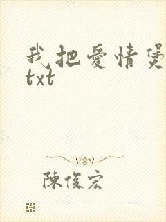 我把爱情煲成汤txt