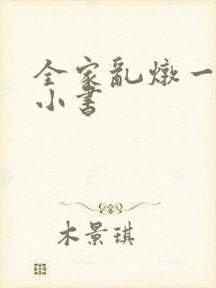 全家乱炖一锅烩小书