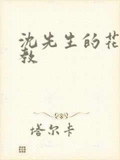 沈先生的花式调教