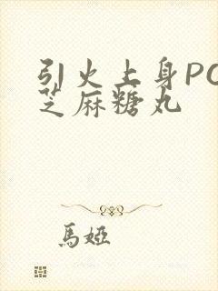 引火上身POP芝麻糖丸