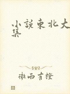 小说东北大炕全集