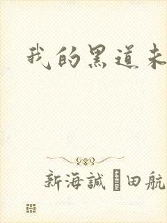 我的黑道未婚夫