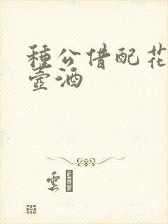 种公借配花间一壶酒