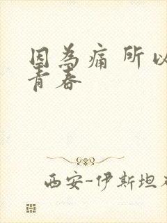 因为痛 所以叫青春