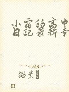 小霜的高中成长日记最新章节