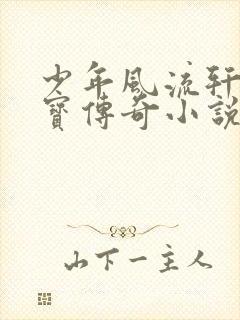 少年风流轩辕大宝传奇小说