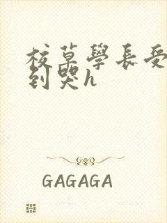 校草学长受被做到哭h