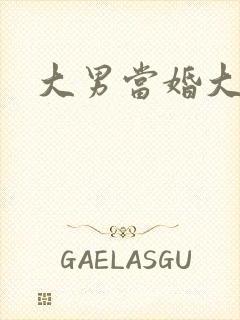 大男当婚大结局