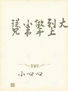 从小做到大骨科兄弟年上