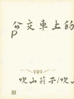 公交车上的群NP