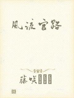 风流官路