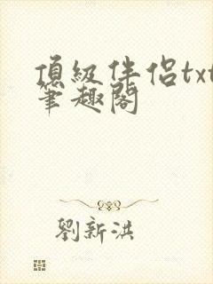 顶级伴侣txt笔趣阁