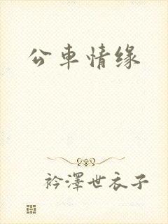 公车情缘