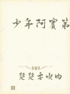 少年阿宾第二部