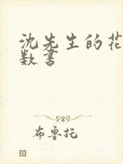 沈先生的花式调数书