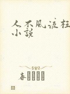 人不风流枉少年小说