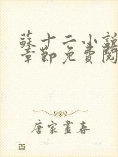 苏十二小说最新章节免费阅读全文