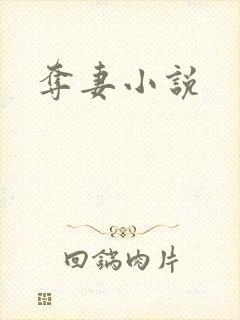 夺妻小说