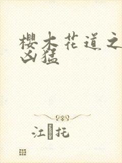 樱木花道之重生凶猛