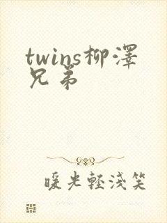 twins柳泽兄弟