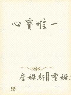 心宝唯一