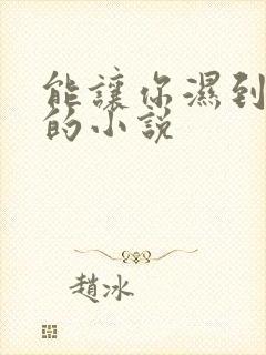 能让你湿到不行的小说