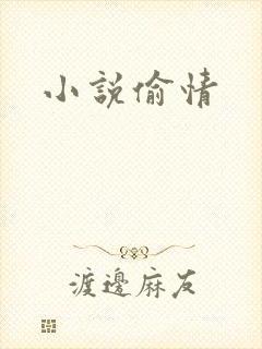小说偷情