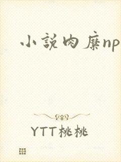 小说肉糜np