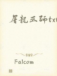 屠龙巫师txt