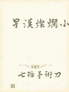 星汉灿烂小说