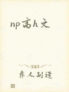 np高h文