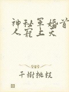 神秘军婚首长大人宠上天