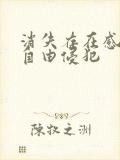 消失存在感消失自由侵犯