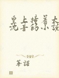 皇上撞着太子妃沈音的小说叫什么