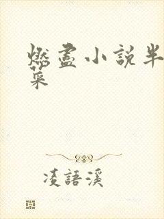 燃尽小说半截白菜