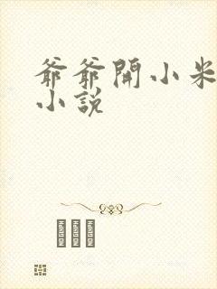 爷爷开小米的包小说