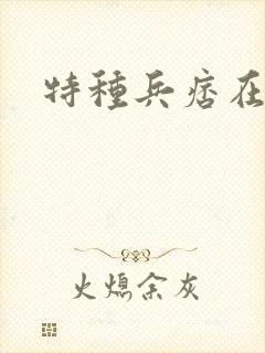特种兵痞在都市