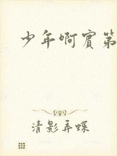 少年啊宾第二部