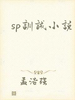 sp训诫小说