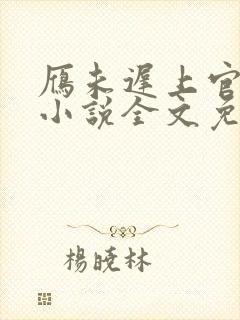 雁未迟上官穿越小说全文免费阅读