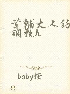 首辅大人的花式调教h