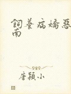 饲养病娇恶龙指南