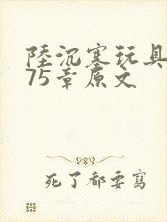 陆沉塞玩具高速75章原文