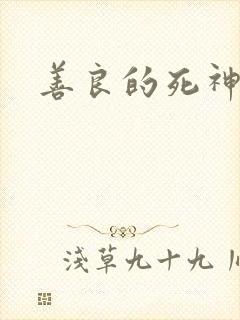 善良的死神小说