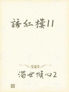 诱红楼11