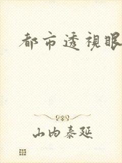 都市透视眼