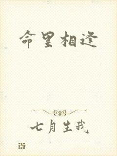 命里相逢